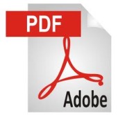 PDF